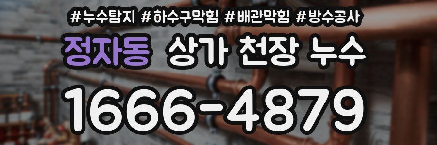 정자동 상가 천장 누수