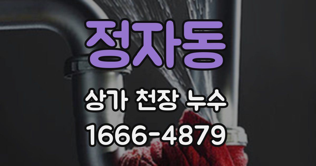 정자동 상가 천장 누수