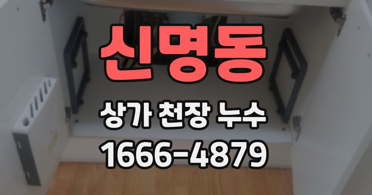 신명동 상가 천장 누수