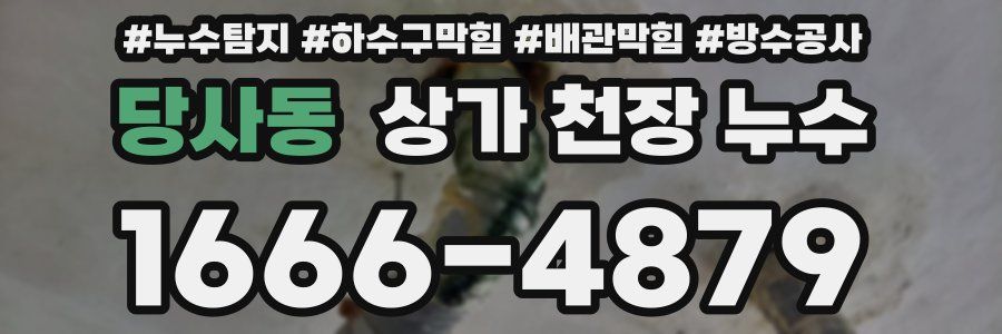 당사동 상가 천장 누수
