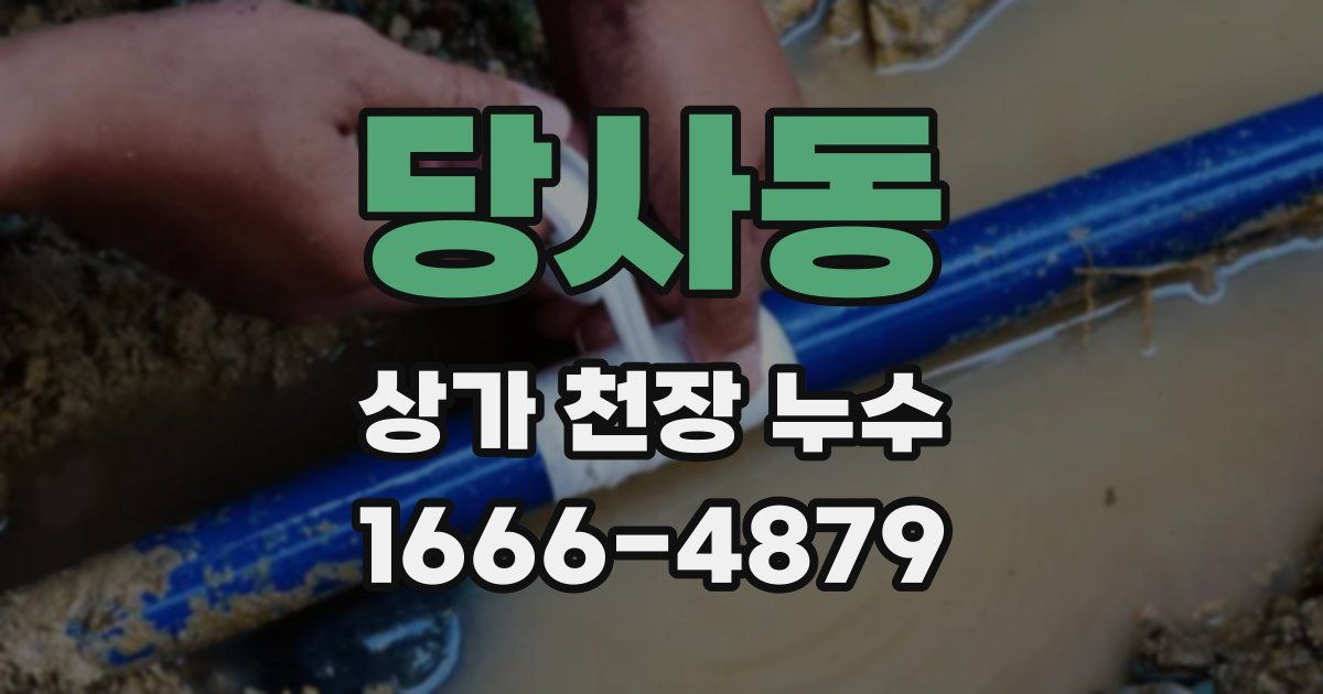 당사동 상가 천장 누수