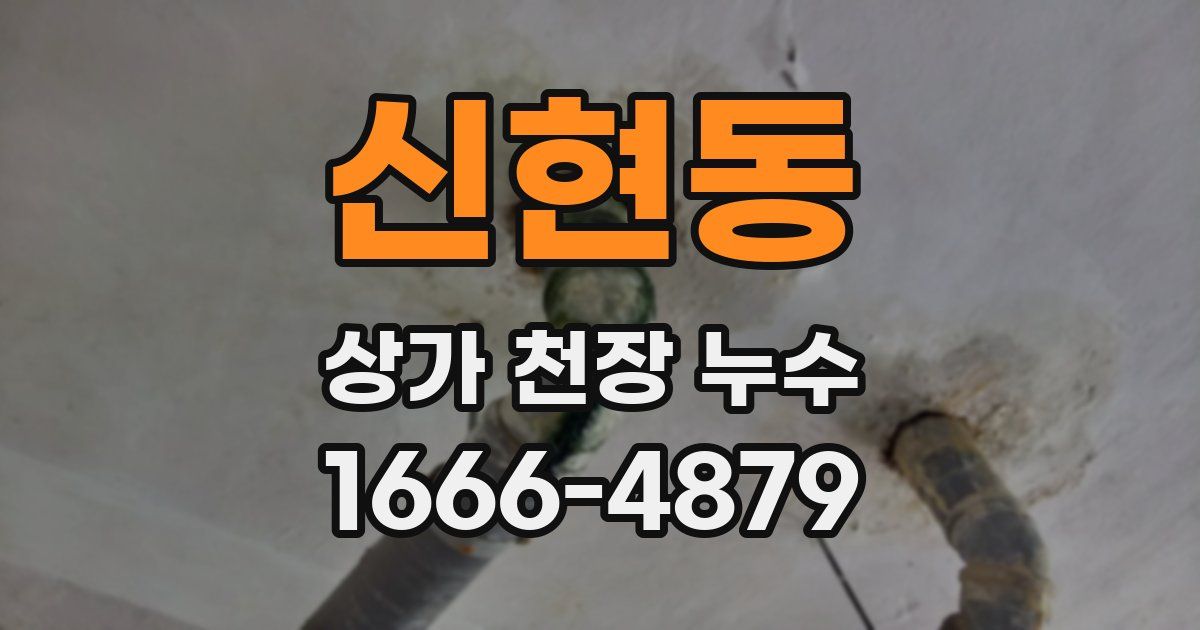신현동 상가 천장 누수