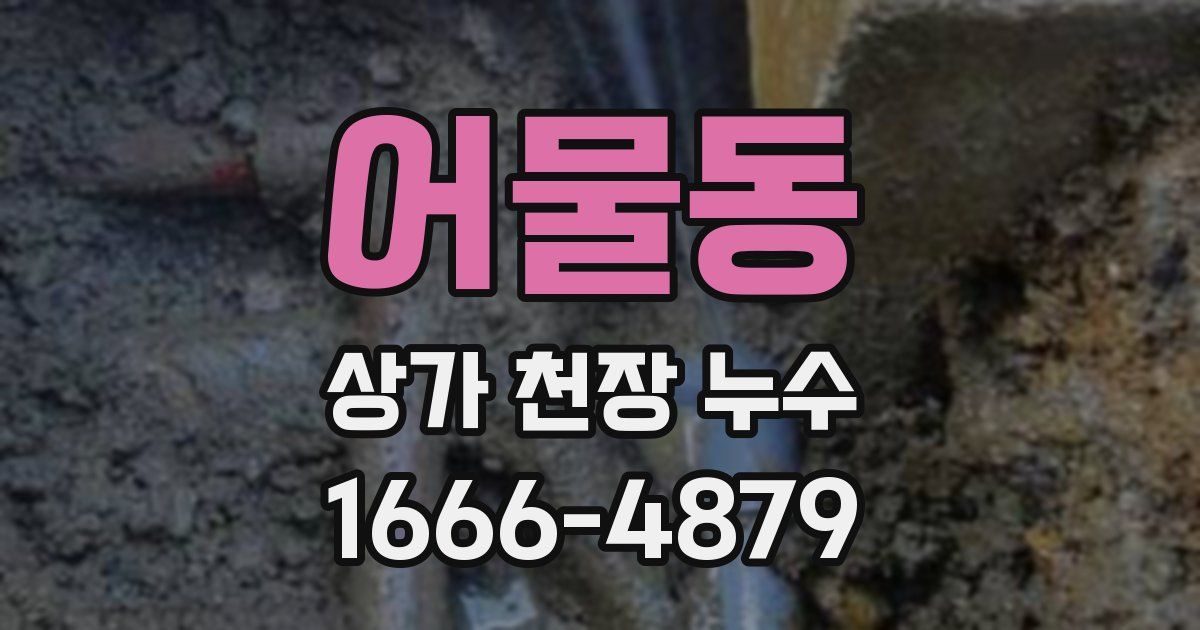 어물동 상가 천장 누수