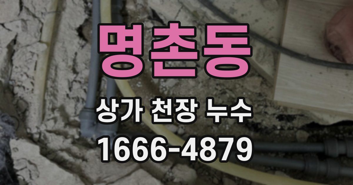 명촌동 상가 천장 누수