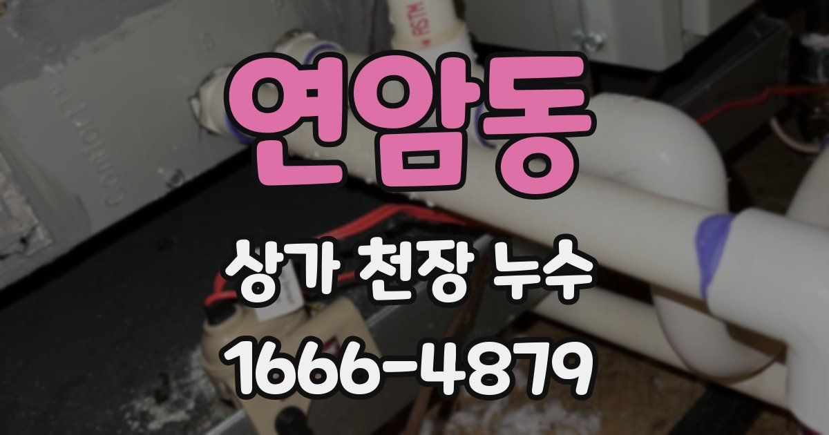 연암동 상가 천장 누수