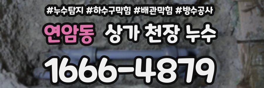 연암동 상가 천장 누수