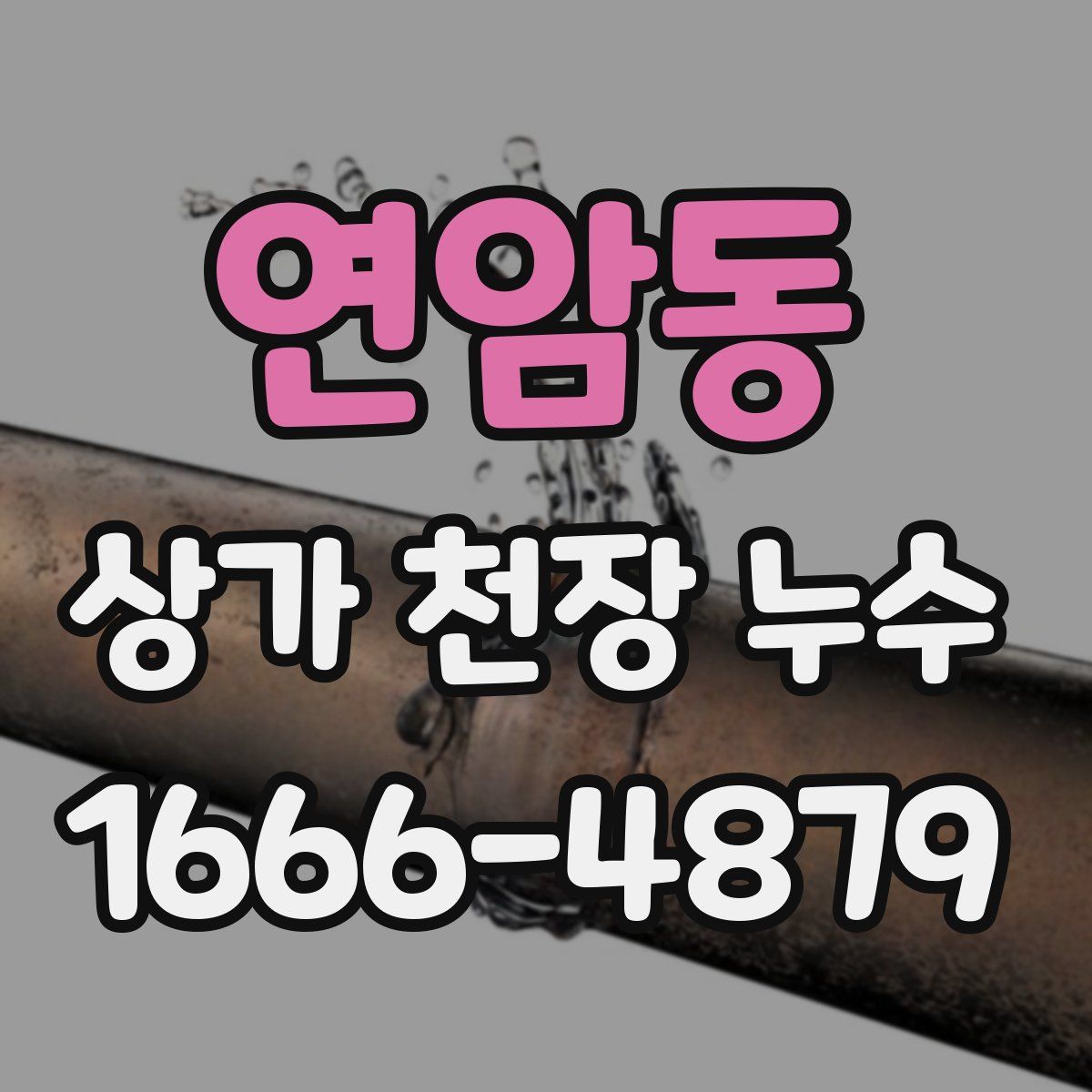연암동 상가 천장 누수