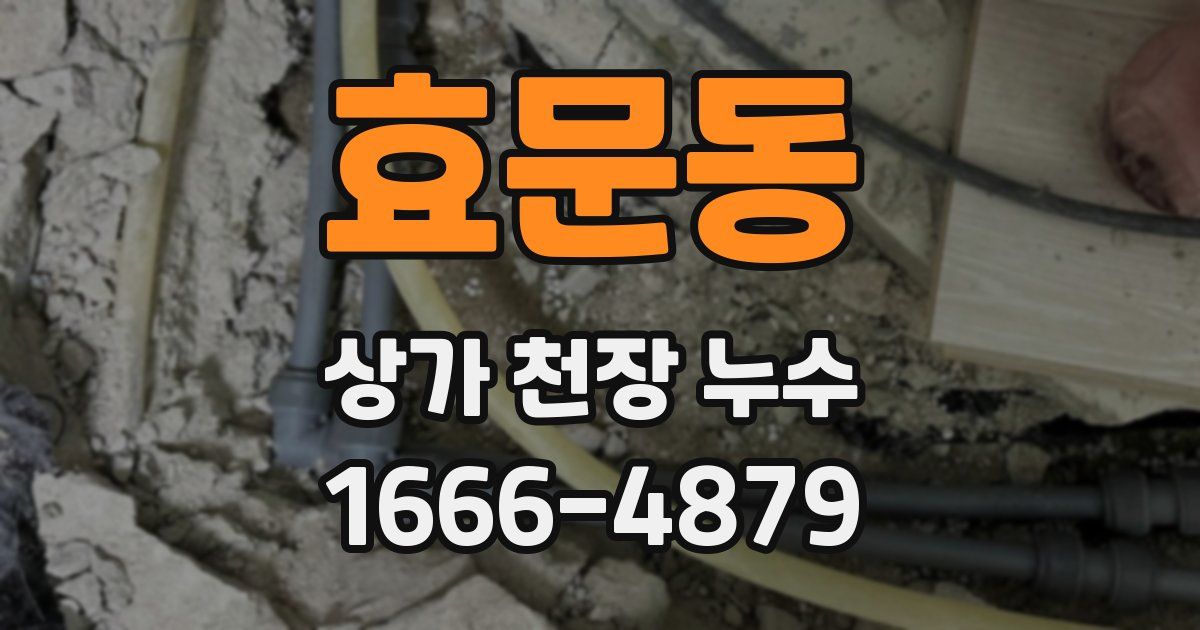 효문동 상가 천장 누수