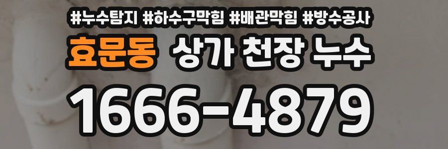 효문동 상가 천장 누수