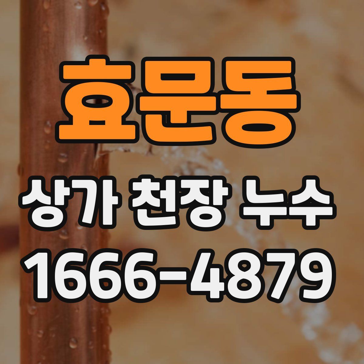 효문동 상가 천장 누수