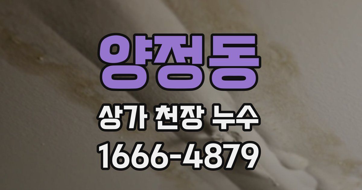 양정동 상가 천장 누수