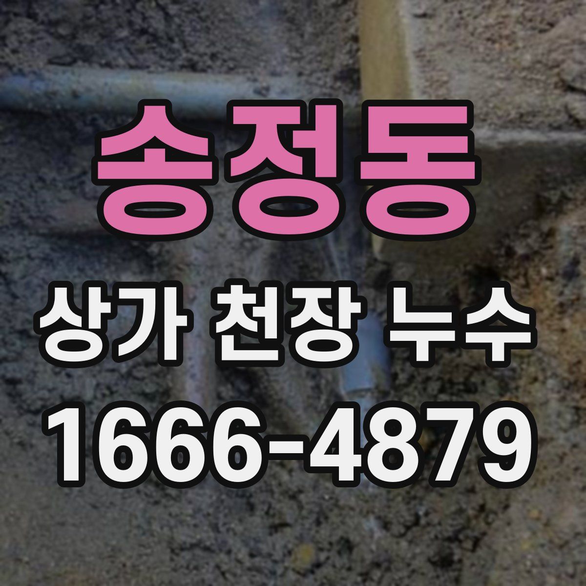 송정동 상가 천장 누수