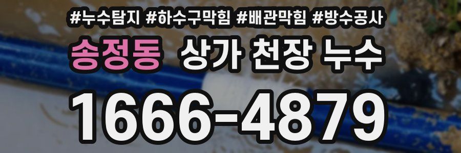 송정동 상가 천장 누수