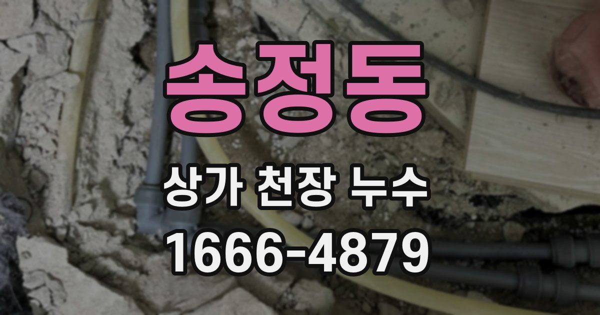 송정동 상가 천장 누수