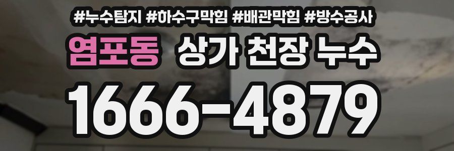 염포동 상가 천장 누수
