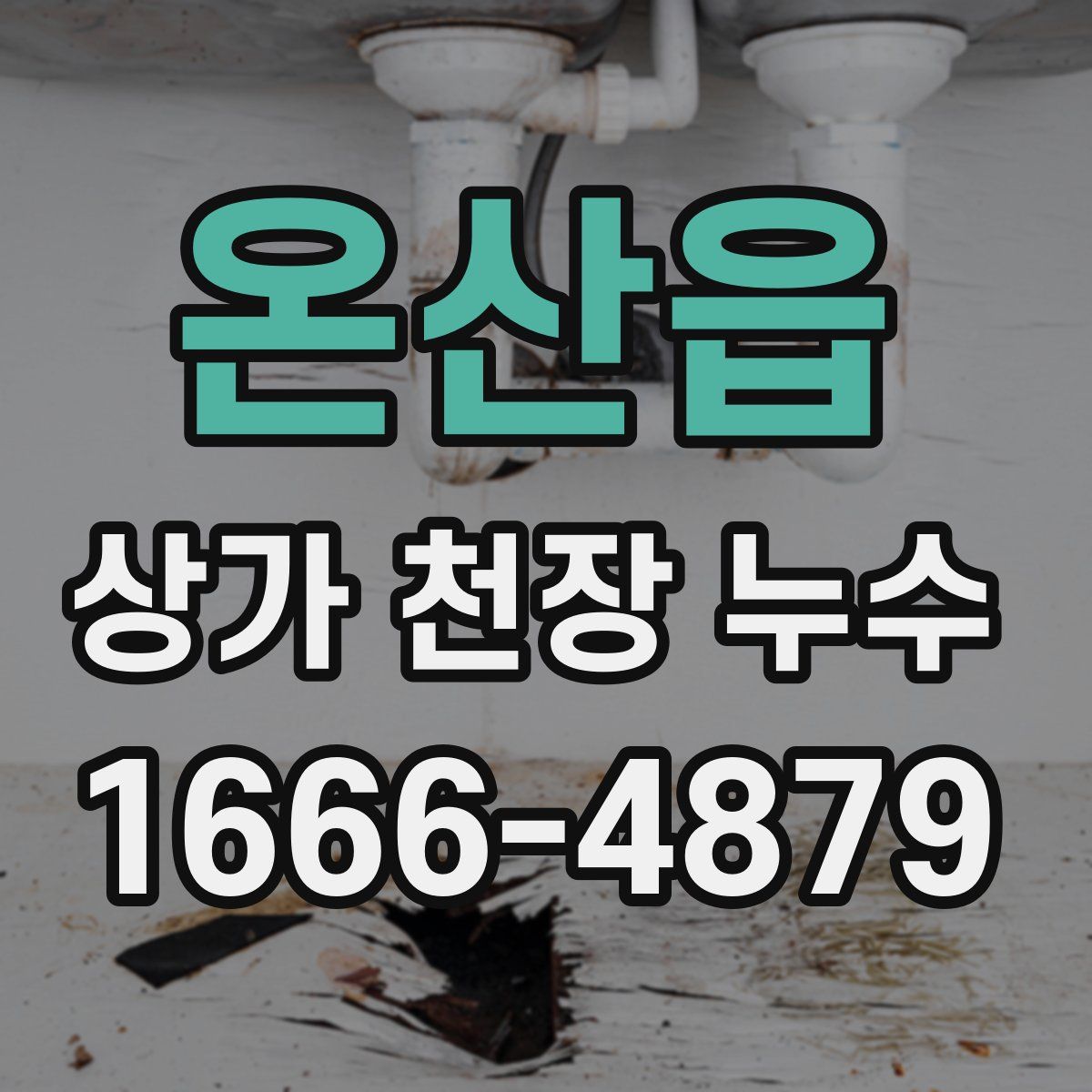 온산읍 상가 천장 누수