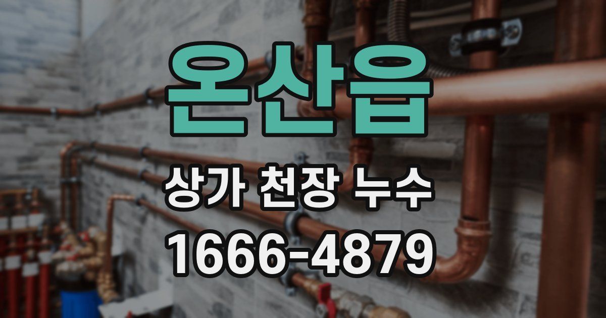 온산읍 상가 천장 누수