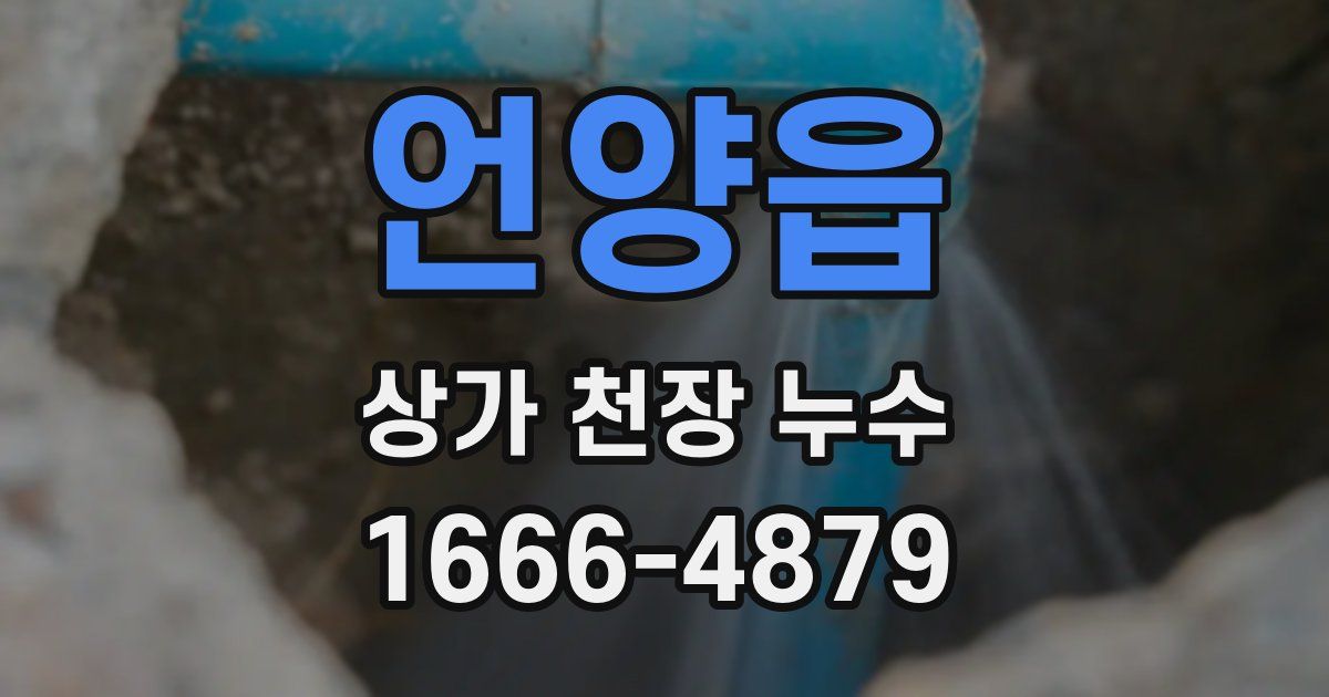 언양읍 상가 천장 누수