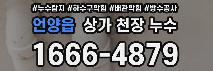 언양읍 상가 천장 누수