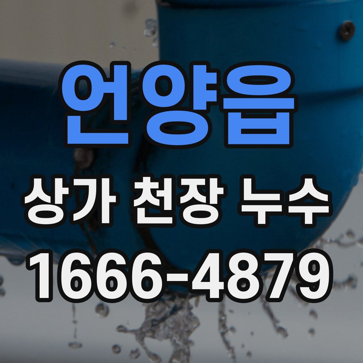 언양읍 상가 천장 누수