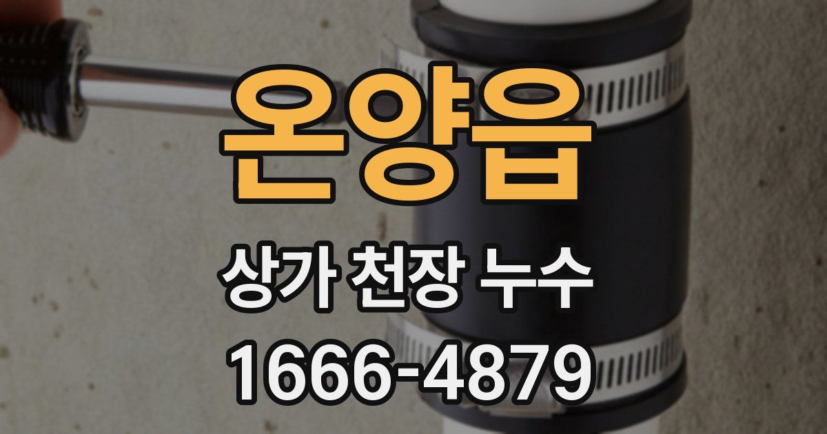 온양읍 상가 천장 누수