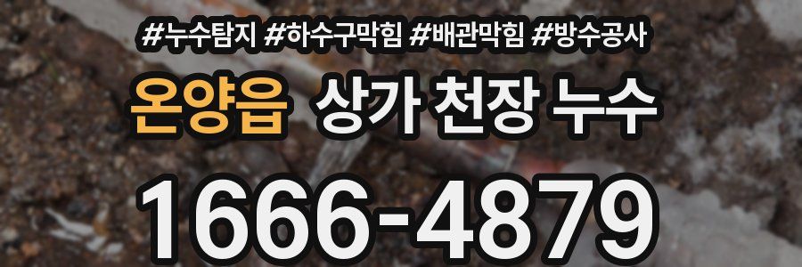 온양읍 상가 천장 누수