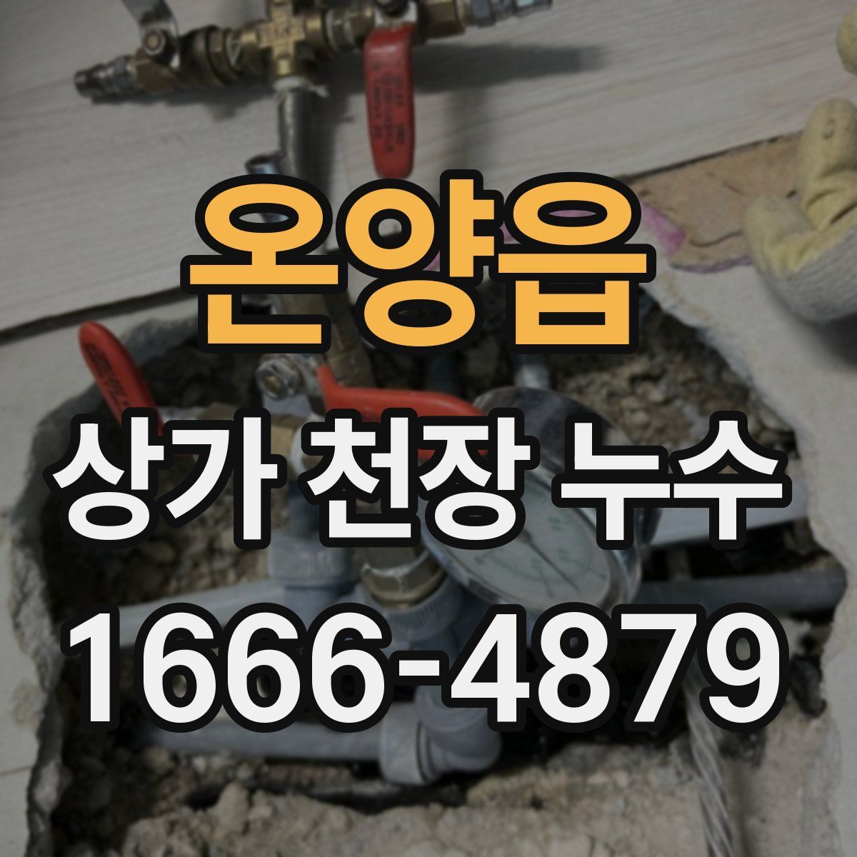온양읍 상가 천장 누수