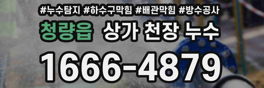 청량읍 상가 천장 누수