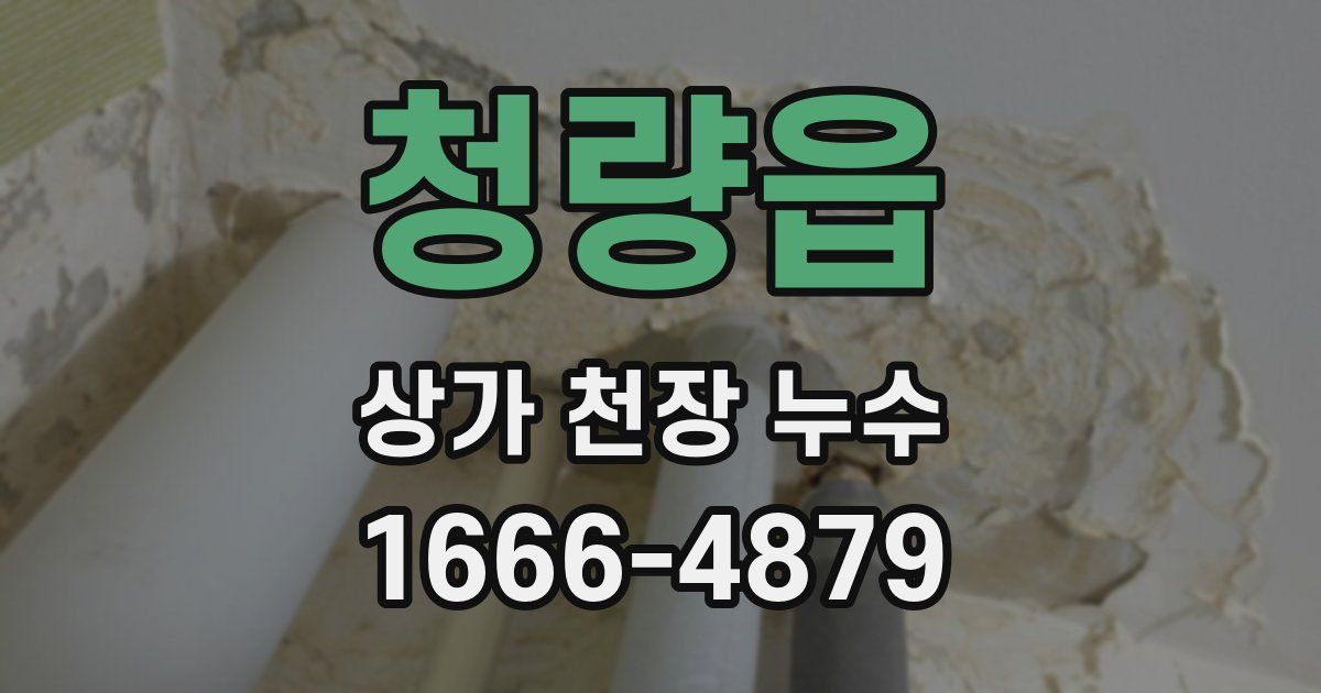 청량읍 상가 천장 누수