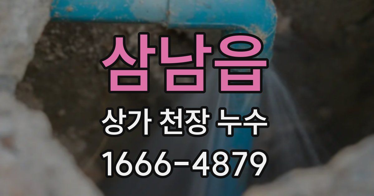 삼남읍 상가 천장 누수