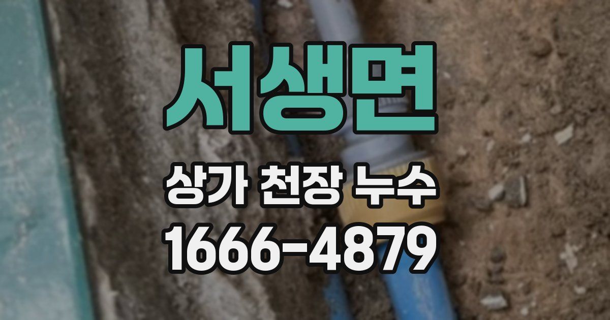 서생면 상가 천장 누수