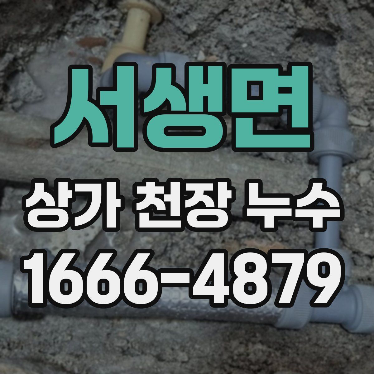 서생면 상가 천장 누수