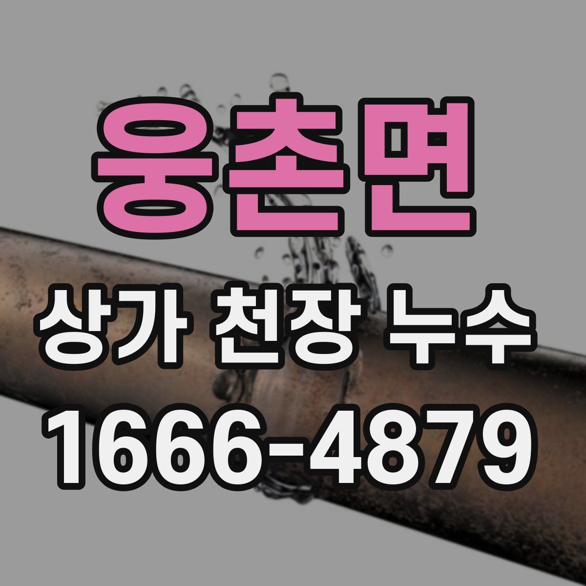 웅촌면 상가 천장 누수