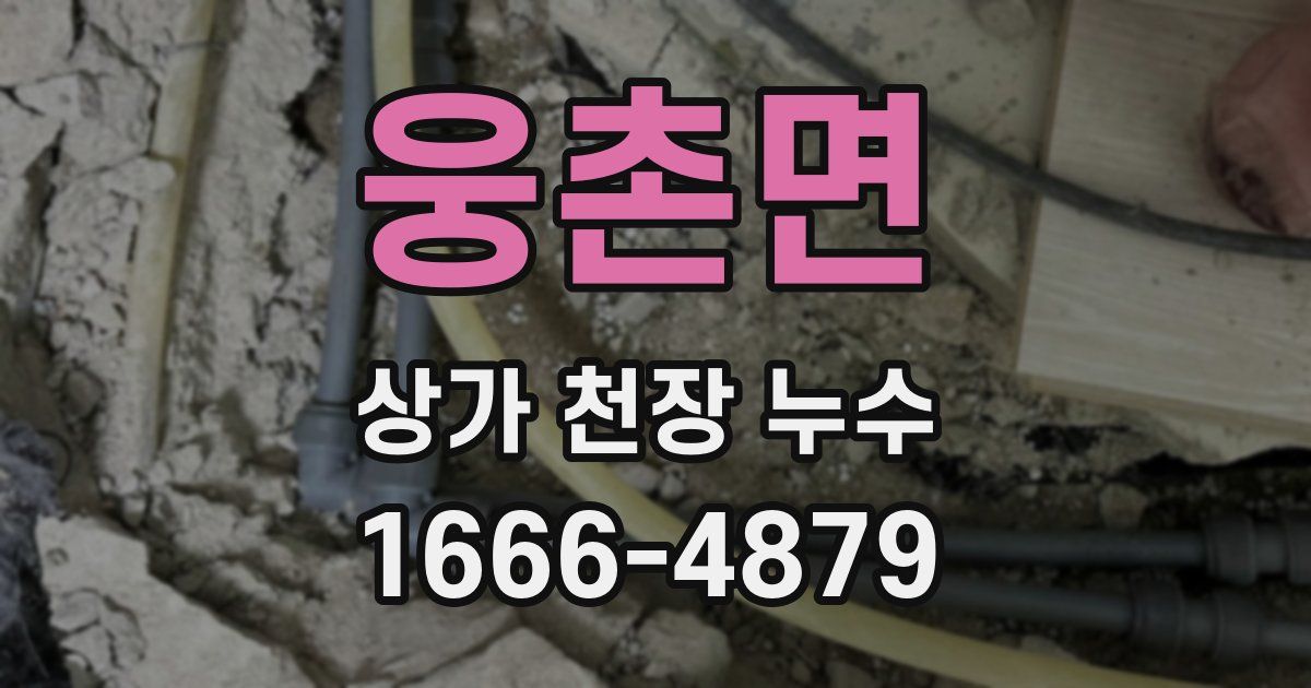 웅촌면 상가 천장 누수