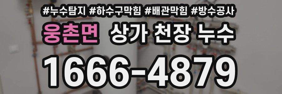 웅촌면 상가 천장 누수