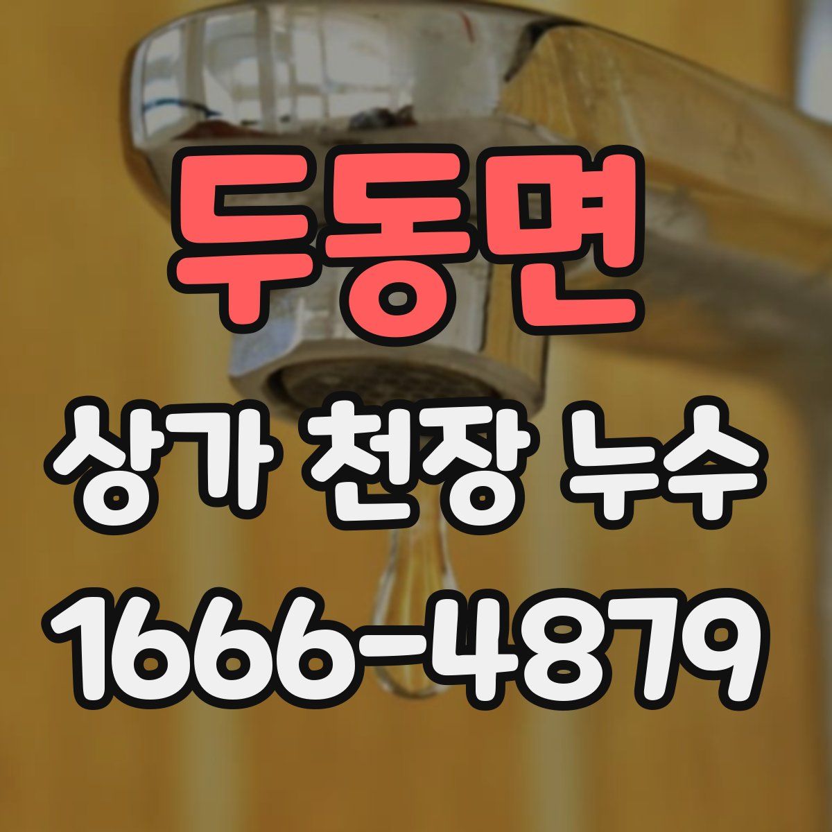 두동면 상가 천장 누수