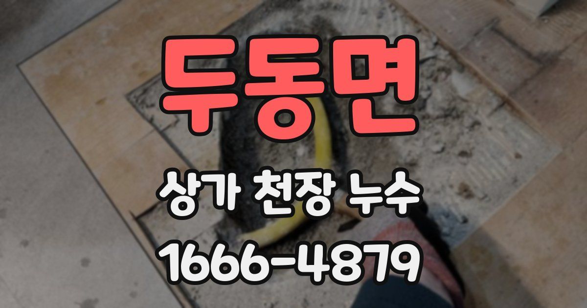 두동면 상가 천장 누수