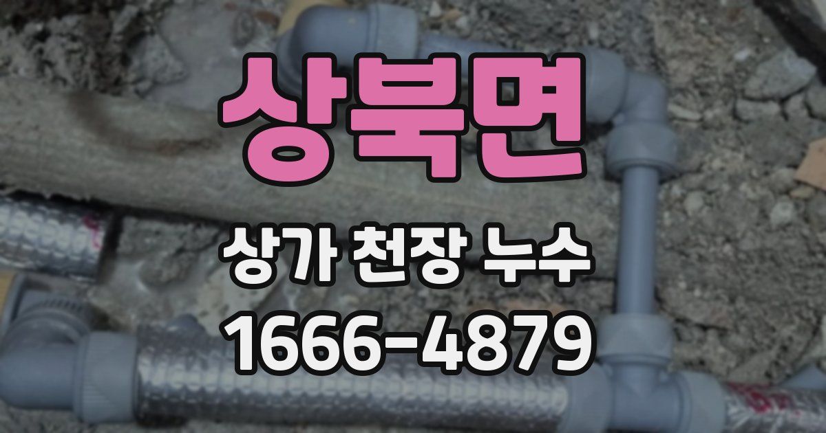 상북면 상가 천장 누수