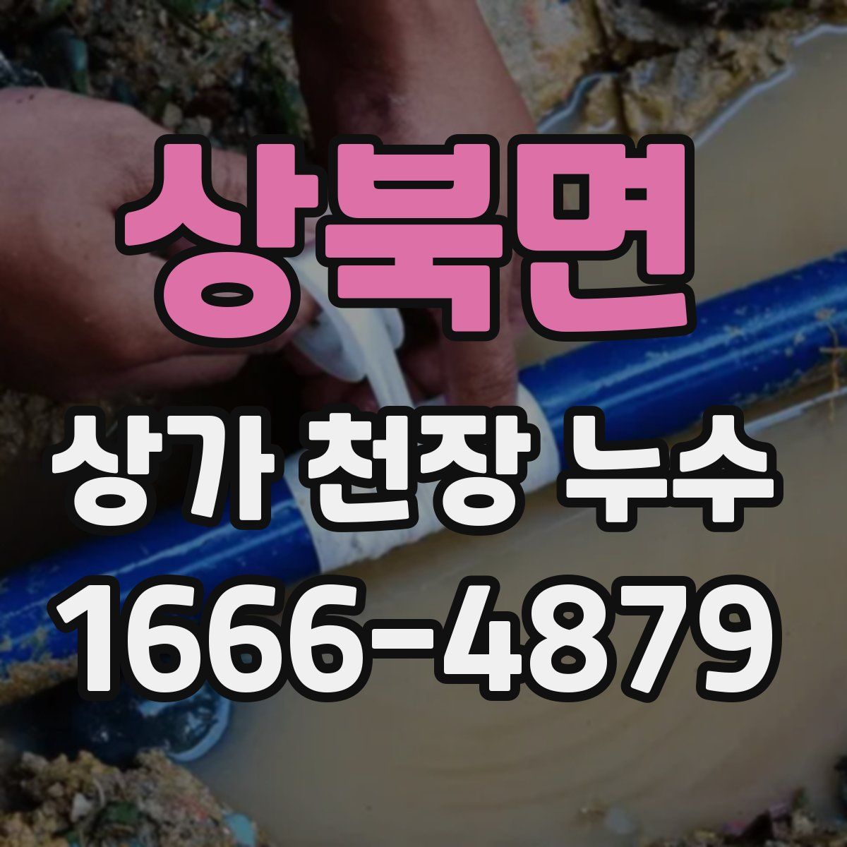 상북면 상가 천장 누수