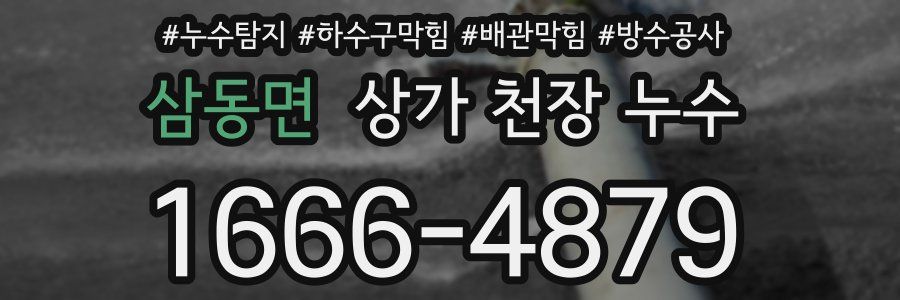 삼동면 상가 천장 누수
