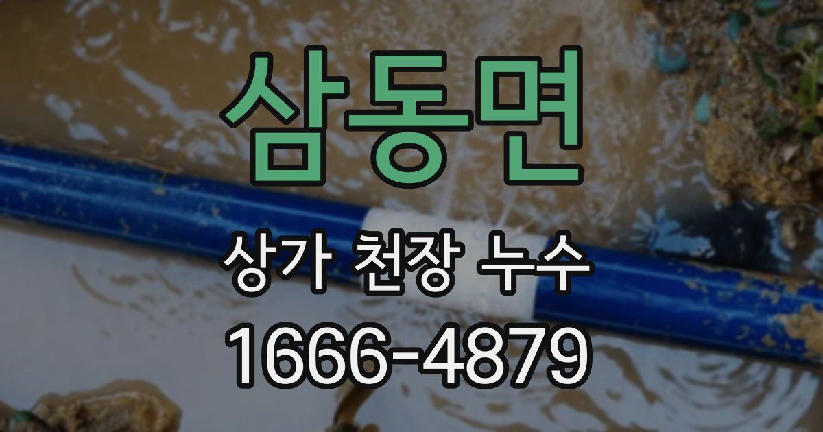 삼동면 상가 천장 누수