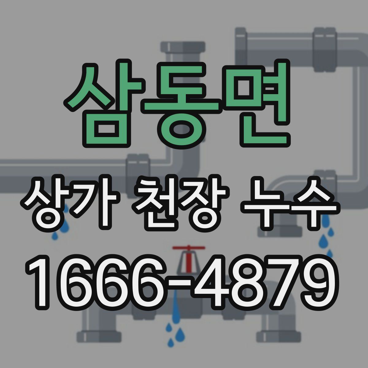 삼동면 상가 천장 누수