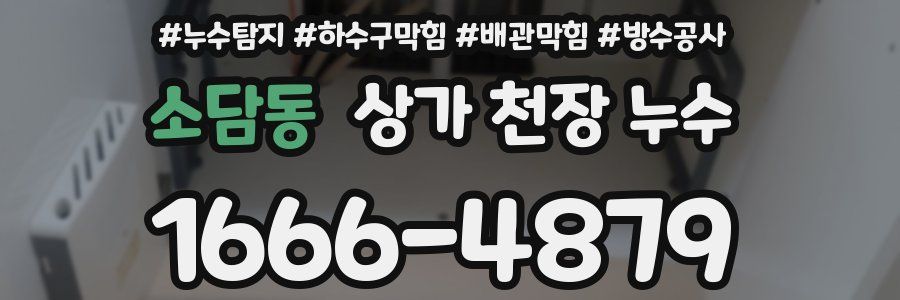 소담동 상가 천장 누수