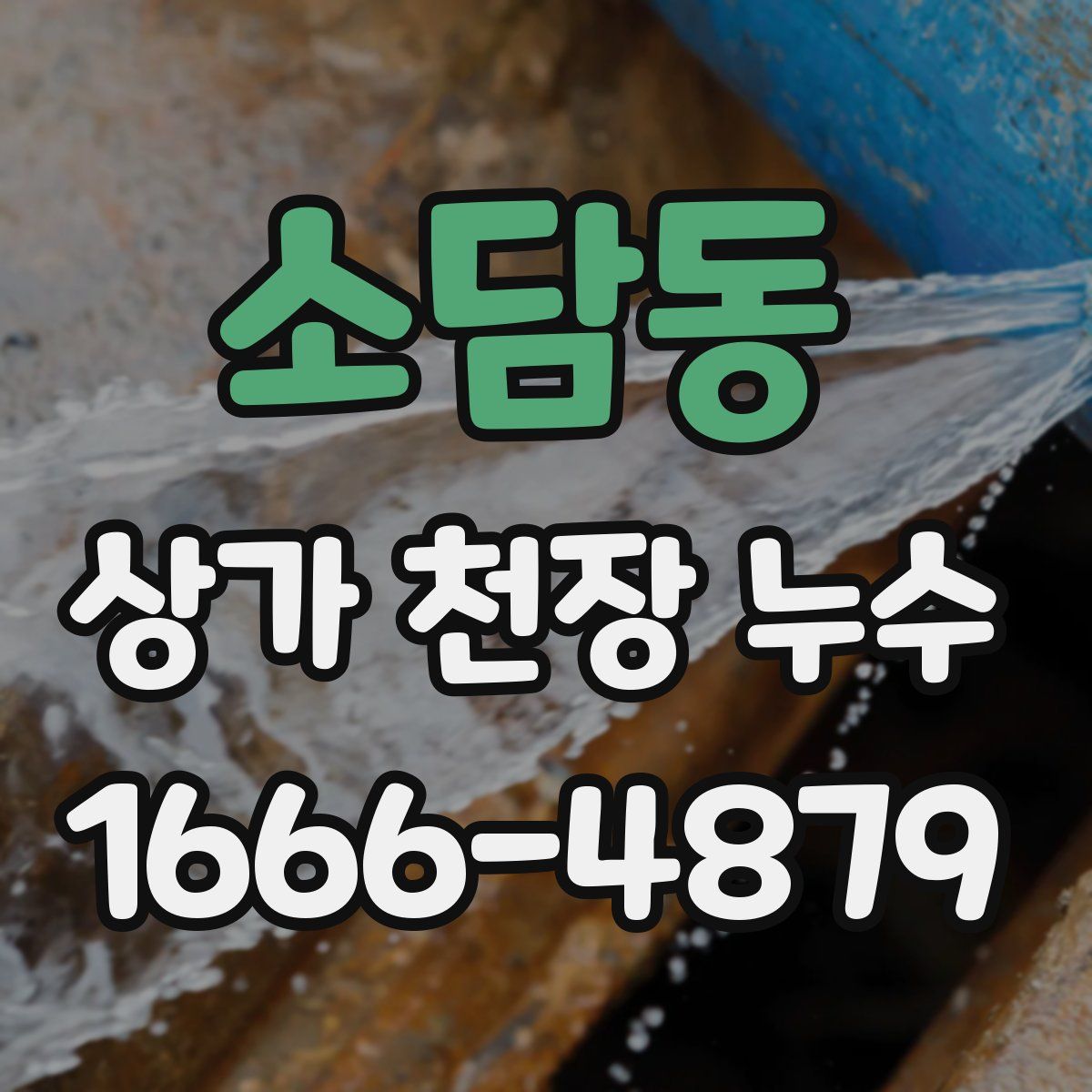 소담동 상가 천장 누수