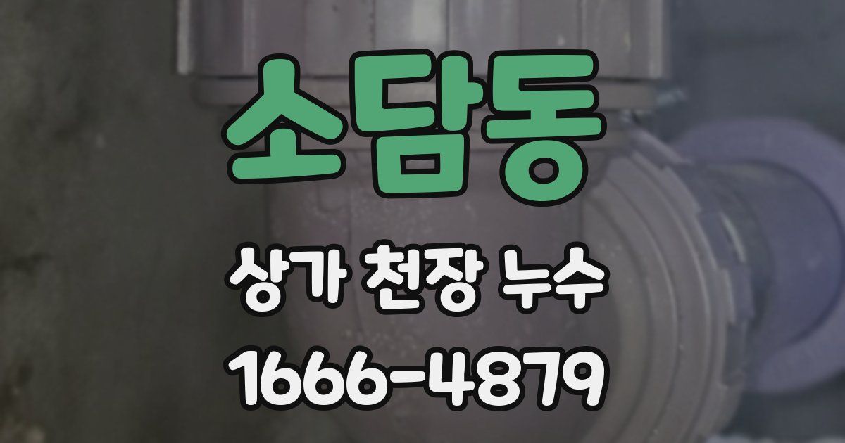 소담동 상가 천장 누수