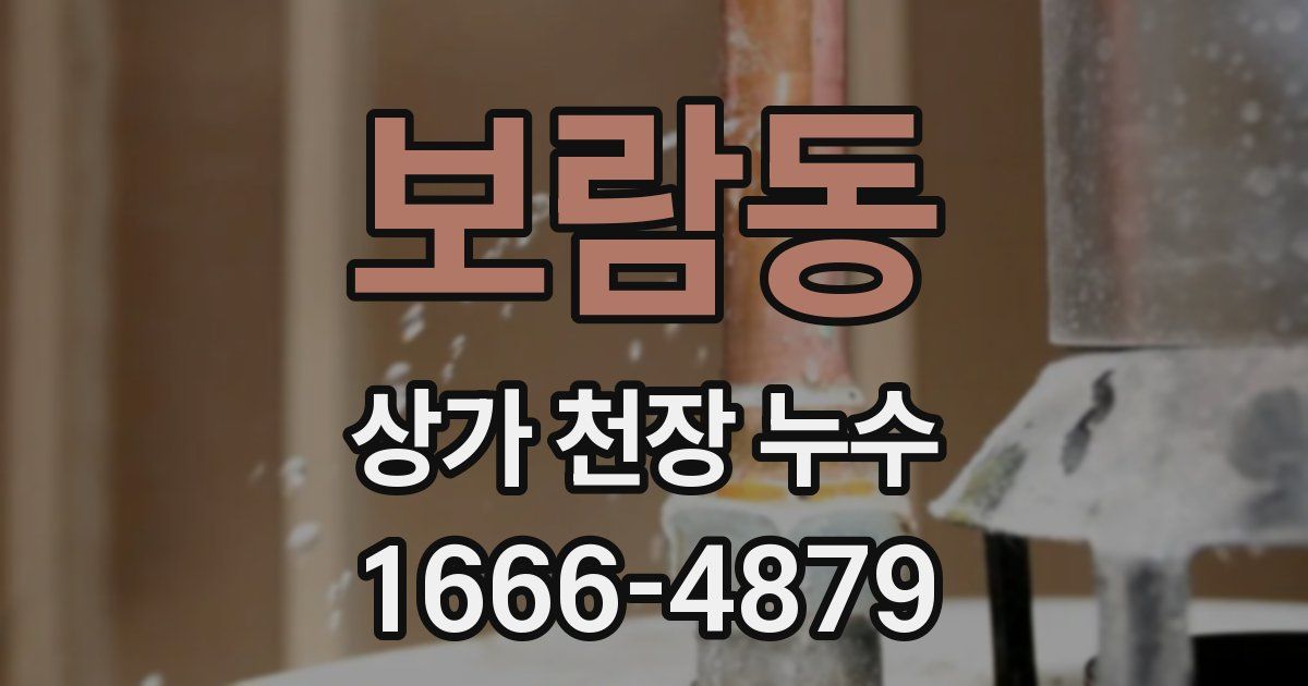보람동 상가 천장 누수