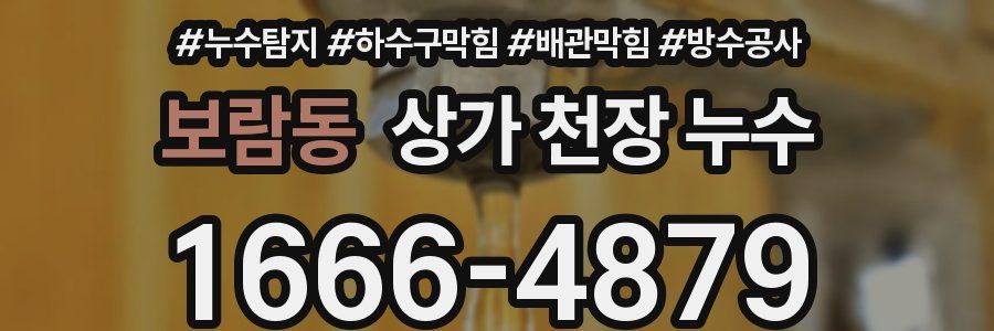 보람동 상가 천장 누수