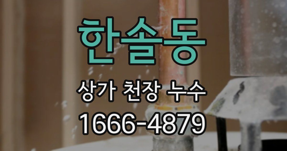 한솔동 상가 천장 누수