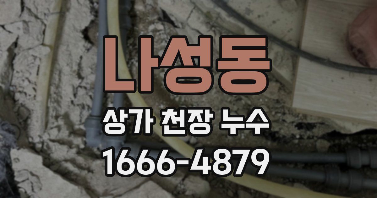 나성동 상가 천장 누수
