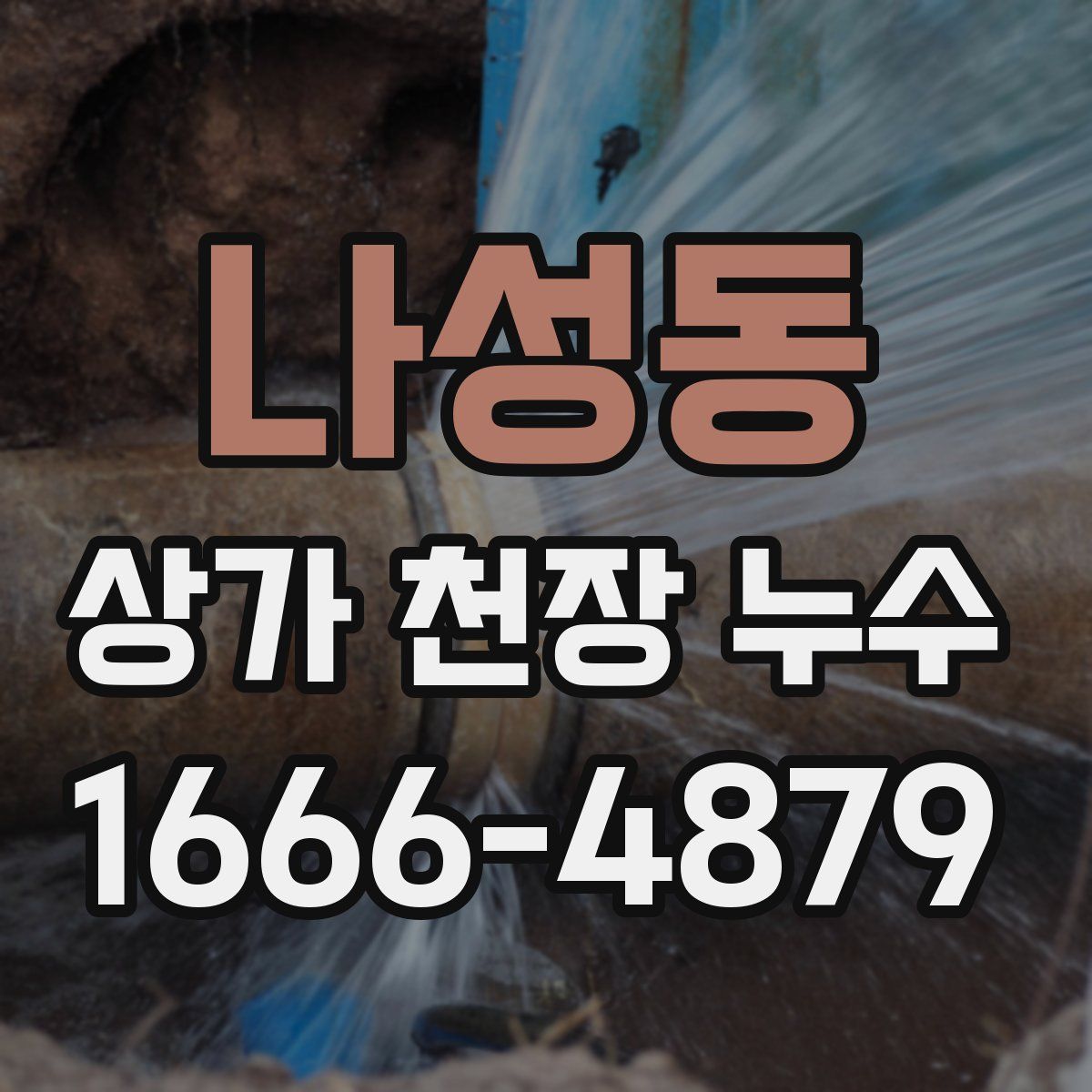 나성동 상가 천장 누수